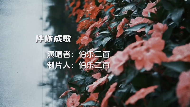 伴你成歌